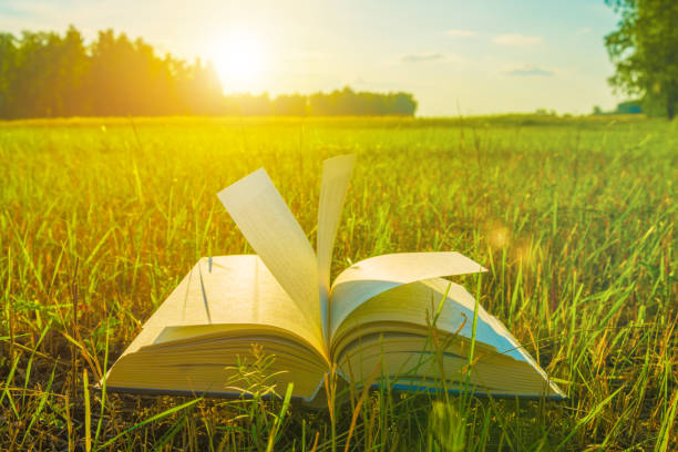 istock Open book on the green grass in the park. 1172699565