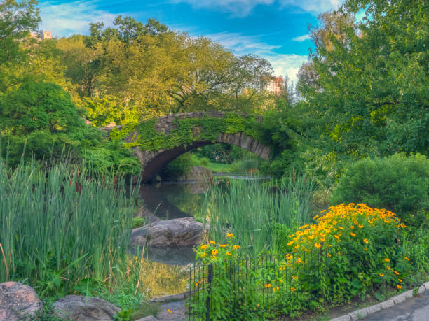 istock Gapstow Bridge in Central Park 1172701705
