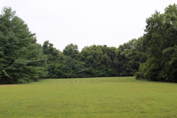 istock Countryside Green Grass Field 1172701782