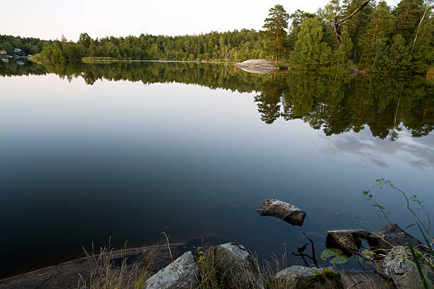 tranquil lake in summer - lidingö bildbanksfoton och bilder
