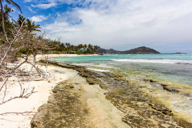 Palm Trees, Blue Sky with Caribbean Beach, Waves and Union Island View: Palm Island, Saint Vincent and the Grenadines. - fotografia de stock