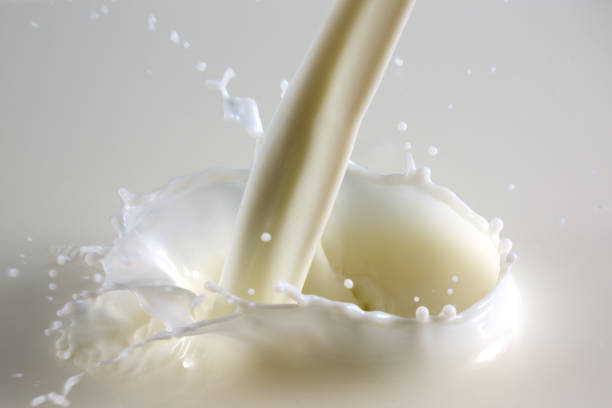 istock Beautiful splash of natural milk. 1172709711