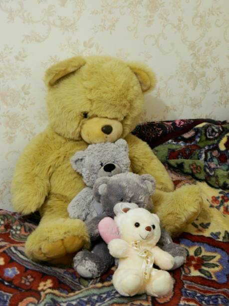 istock The one who loves bears 1172709763