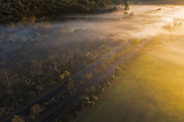 Aerial - Fog over Country Road in Victoria Australia on Sunrise Early morning aerial photograph capturing a car driving down a fog filled road in Victoria, Australia. mornington peninsula photos stock pictures, royalty-free photos & images