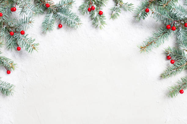 istock White Christmas background with Christmas tree branches and red berries 1172710677