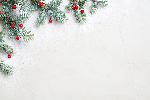 Fondo blanco de Navidad con ramas de árboles de Navidad y bayas rojas photo