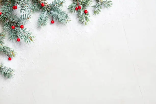 Photo of White Christmas background with Christmas tree branches and red berries