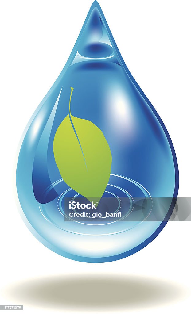 leaf and drop vector illustration of leaf in a water drop Water stock vector