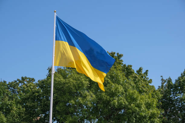 istock State flag of Ukraine 1172711013