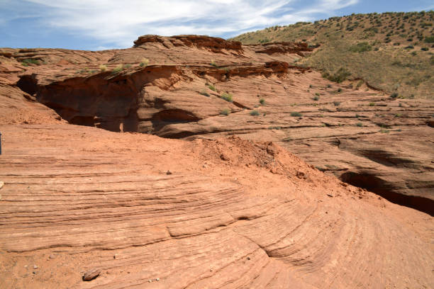 istock Walking in the desert in arizona 1172711237