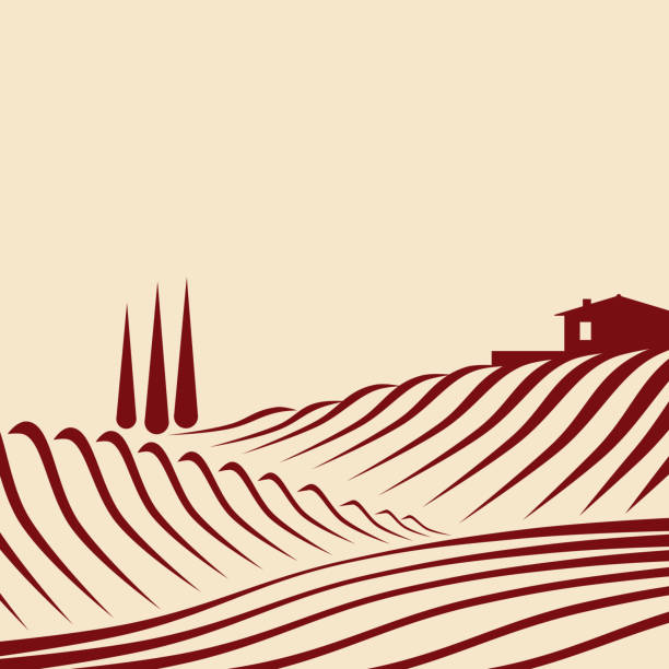 сельская средиземноморская векторная ландшафтная иллюстрация с кипарисами и коттеджем - tuscany stock illustrations