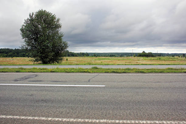 istock Beautiful road. Background. Road and field 1172716505