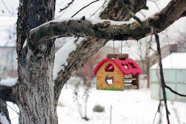 istock Feeder for birds on a tree in winter. 1172716590