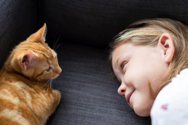 istock Girl Lying On Sofa At Home Looking Lovingly At Pet Cat 1172718896