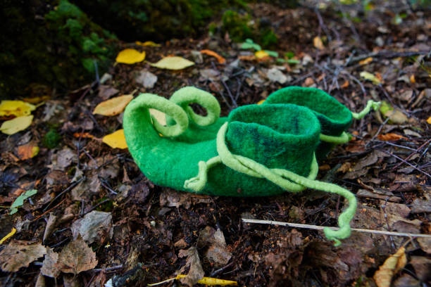 fairy creature elf or dwarf will leave his shoes near the entrance to his house in an old, moss-covered tree. - doormat door christmas holiday imagens e fotografias de stock