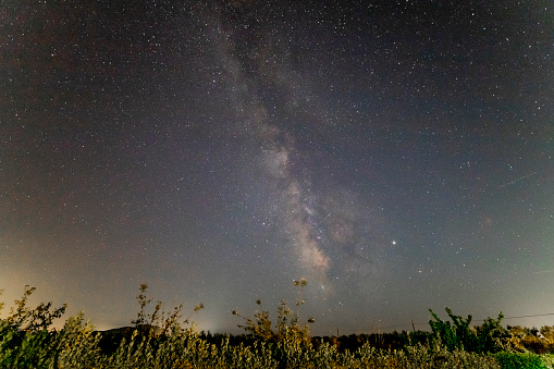 The milky Way over a vegetation green line.