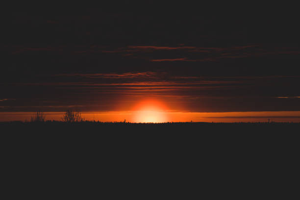 Golden sunset with sun and forest silhouette. horizon line at sundown