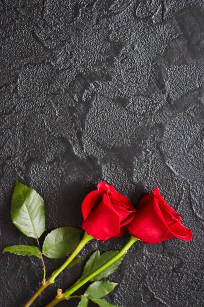 istock Two red roses on a dark, black stone background. Place for text 1172719441