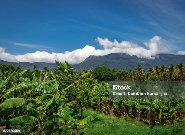 Mountains Velliangiri View With Blue Sky And Green Forest Stock Photo - Download Image Now