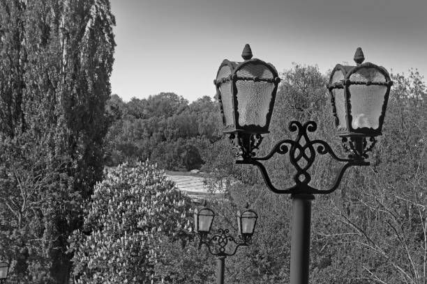 istock Forged lantern in the park 1172721202