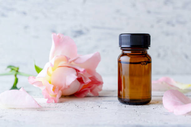 istock Essential oil and pink rose 1172721252