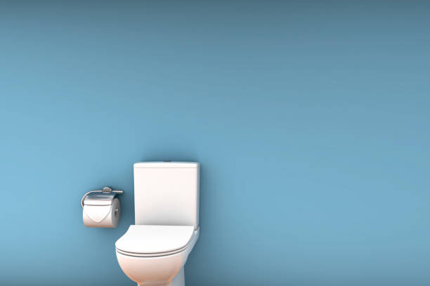 istock minimalistic toilet on tin background 1172723940