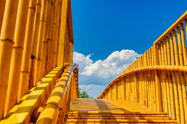 Bridge made of bamboo, Shooting a bridge made of bamboo, blue sky and white clouds bamboo bridge stock pictures, royalty-free photos & images