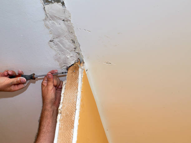 istock Man repairing a wall 1172727707
