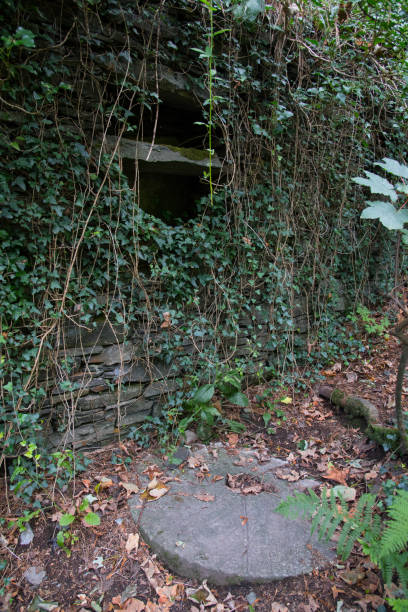 istock An old mill stone in an abandoned mill 1172729057