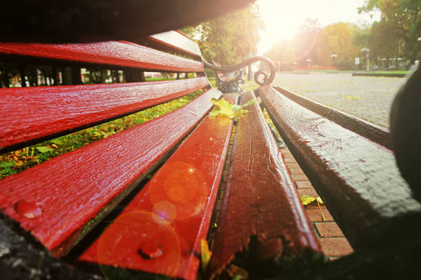istock Bench in the autumn park 1172731334