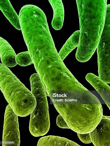 Bactérias - Fotografias de stock e mais imagens de Bactéria - Bactéria, Biologia, Ciência
