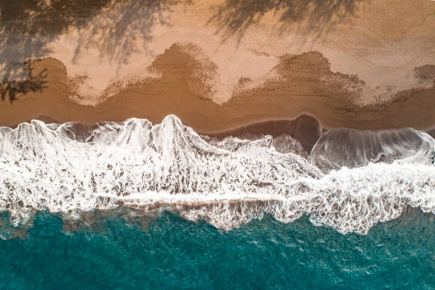 vue d'oeil d'oiseau d'une belle plage isolée - hilo photos et images de collection