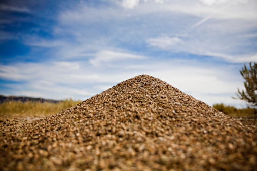 Close up low perspective of ant hill in dirt