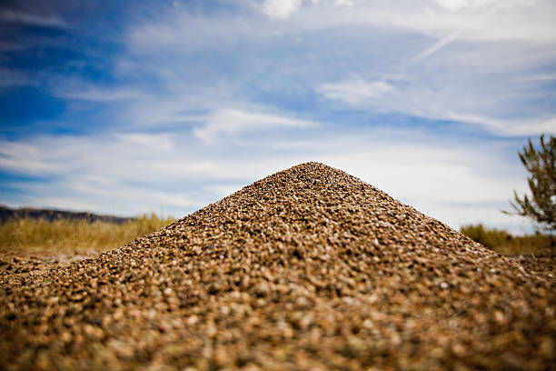 Low view of Ant Hill stock photo