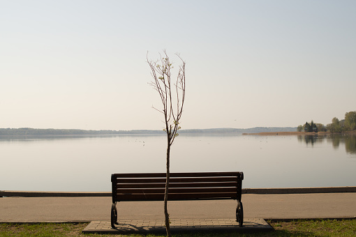 Landscape with bench on the lake shore. calm background