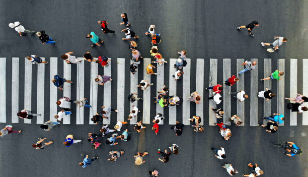 空中。人々は横断歩道を通って動き声を上げた。ドローンからのトップビュー。 - zebra crossing ストックフォトと画像