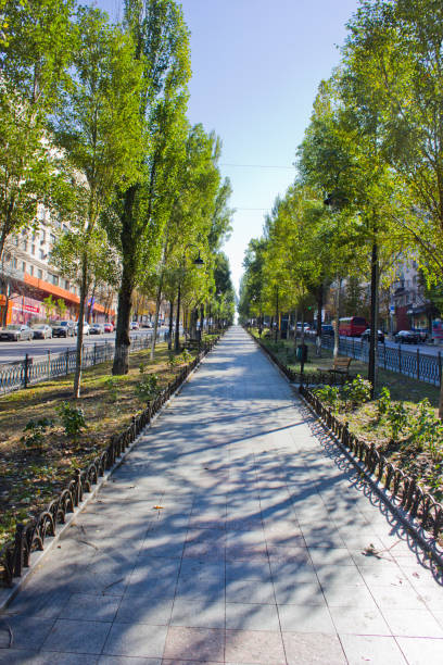 istock Alley in a city park 1172742364