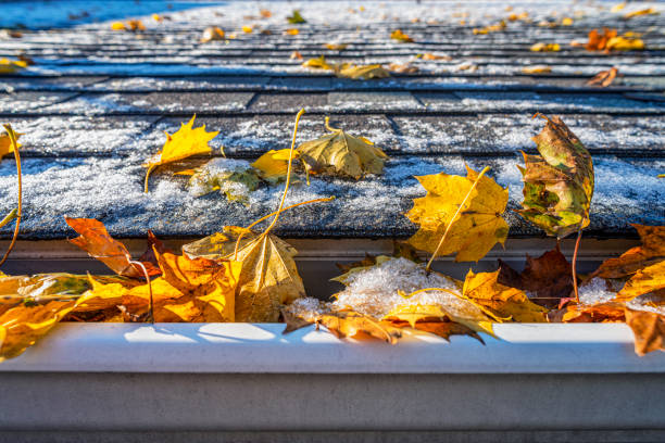 un primo piano di foglie autunnali colorate sul tetto e nella grondaia coperta di neve leggera - snow cleaning foto e immagini stock