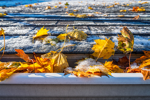 A close-up of colorful Autumn leaves on the roof and in the gutter covered in light snow