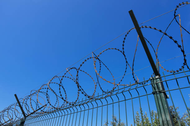 istock Coils of sharp razor wire on a metal fence 1172744125