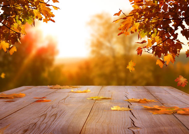istock Autumn maple leaves on wooden  table.Falling leaves natural background. 1172744815