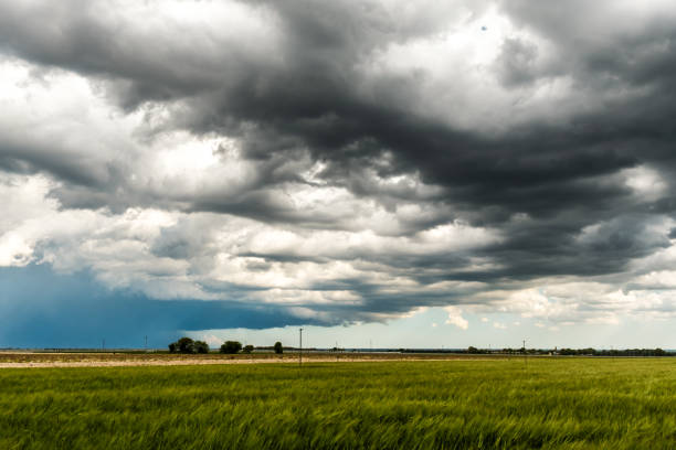 istock Big storm in the fields of Italy 1172745447
