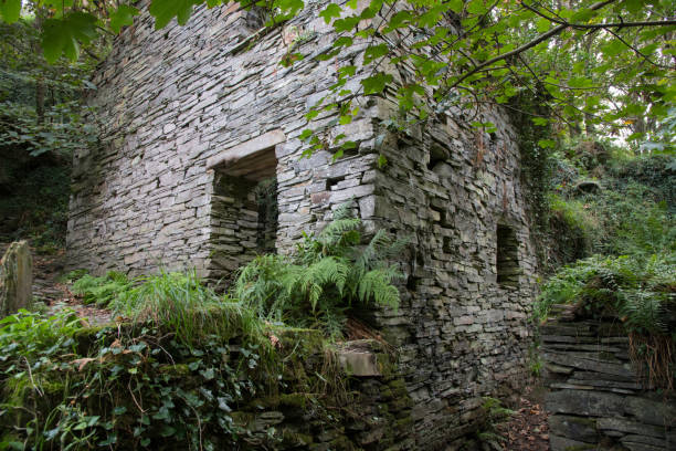 istock Old abandoned mill in a valley in Cornwall 1172745996