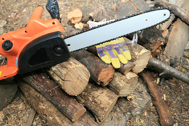 Electric chain saw stock photo