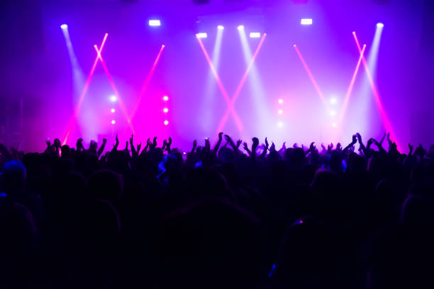 istock Crowd At Music Concert 1172755175