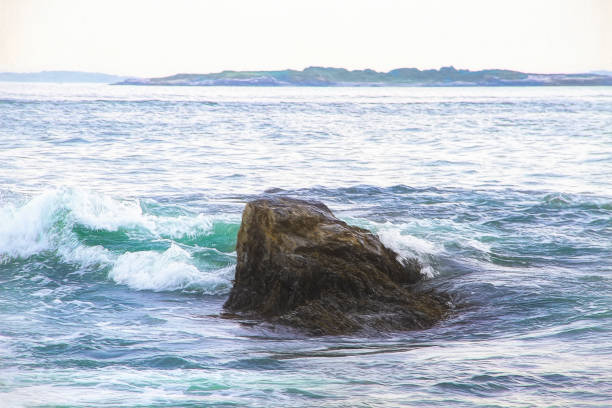 Rugged coastline near the Portland Head light house, Cape Elizabeth, Maine