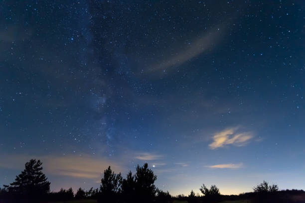 istock night starry sky with milky way above the forest silhouette, night natural background 1172759979
