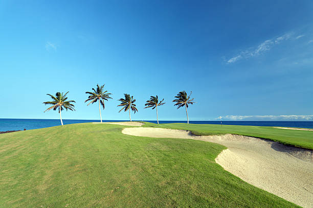 istock A golf course on the water lined with palm trees 117276134
