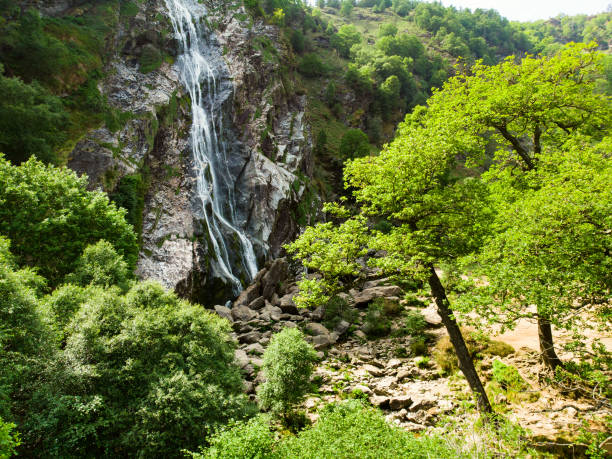 majestuosa cascada de agua de powerscourt waterfall, la cascada más alta de irlanda. atracciones turísticas en co. - europe high angle view waterfall water fotografías e imágenes de stock