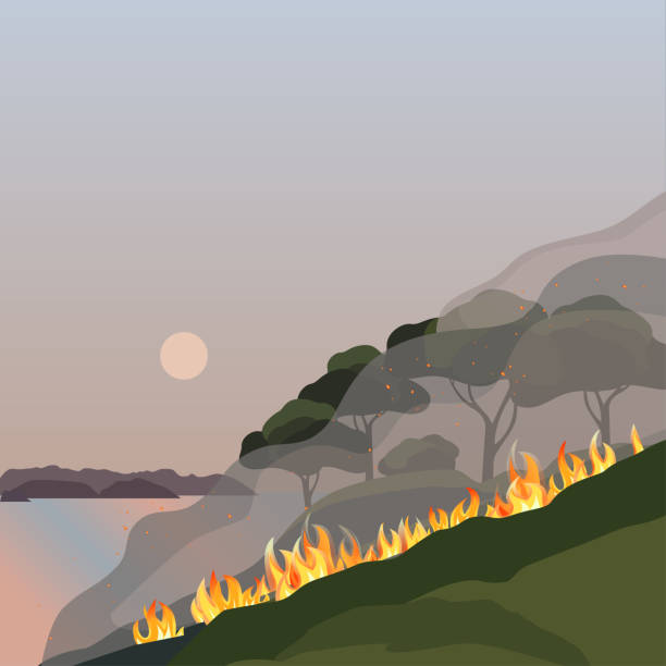ilustraciones, imágenes clip art, dibujos animados e iconos de stock de forestal incendios desastre árboles verdes ilustración vectorial plana - wildfire smoke